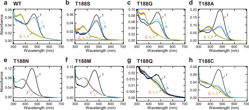 Fig. 3