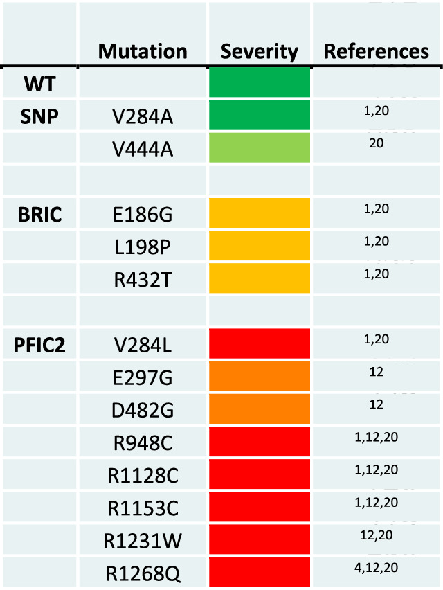 graphic file with name 42003_2025_7908_Tab1_HTML.jpg