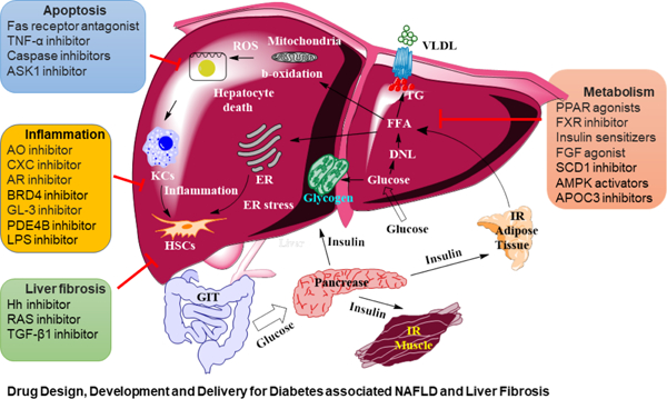 graphic file with name nihms-1730006-f0001.jpg