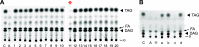 FIG 5