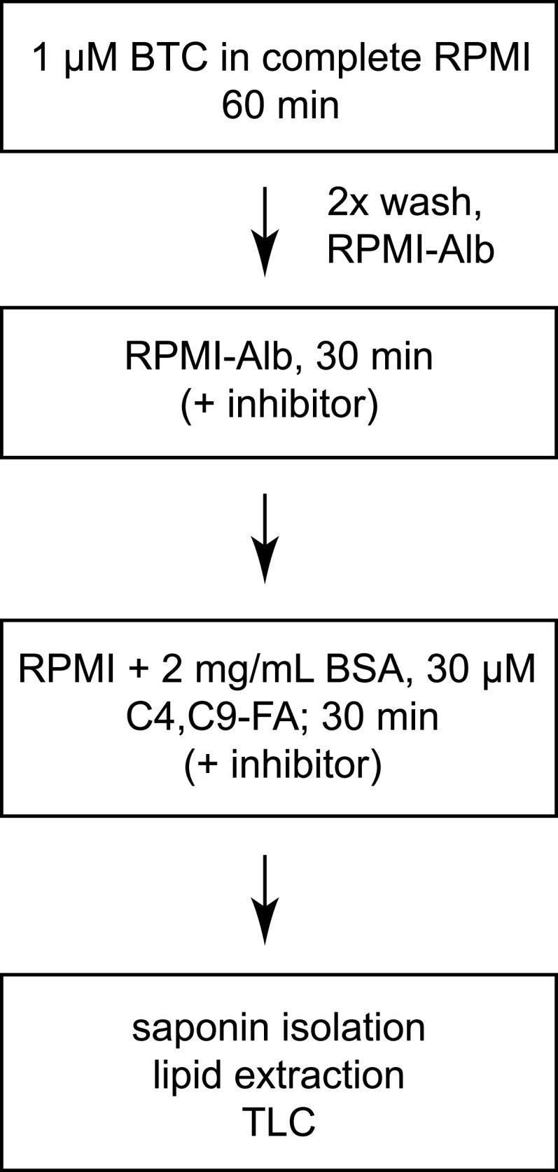 FIG 2