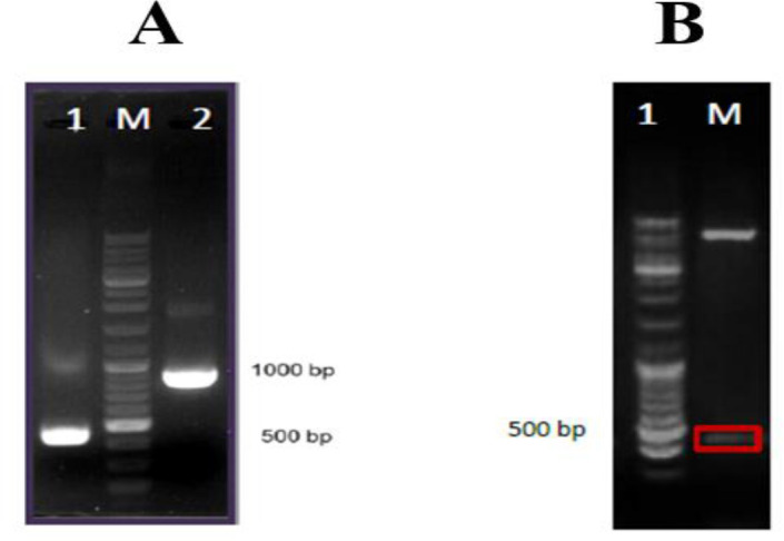 Fig. 2: