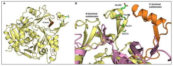 Fig. 11