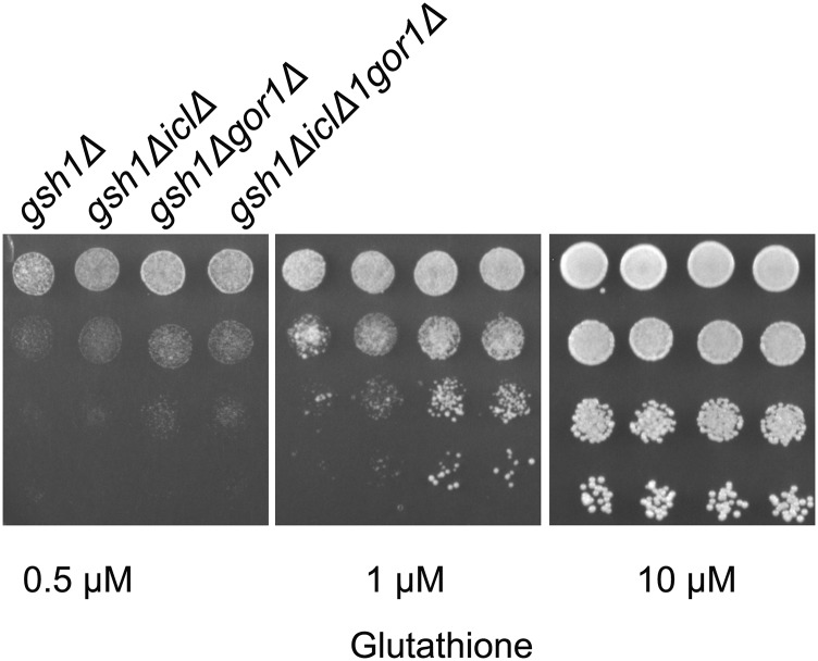 Figure 7