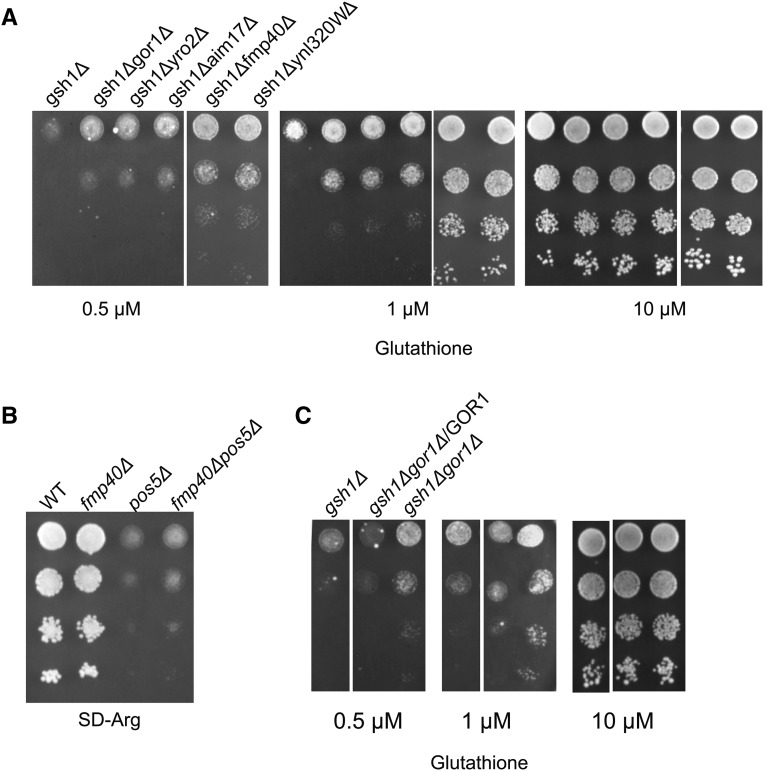 Figure 5