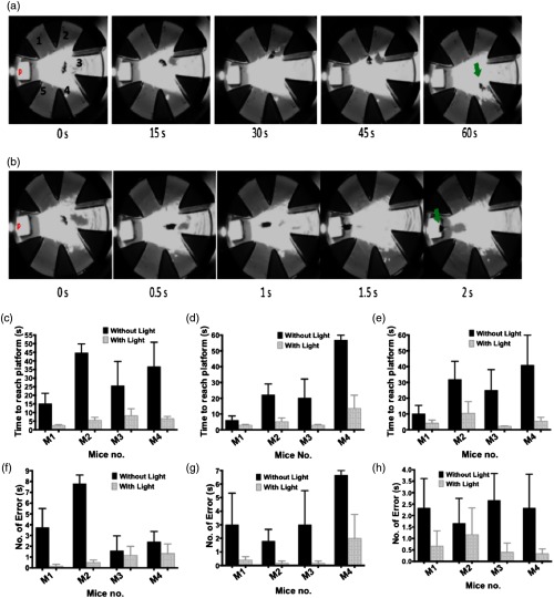 Fig. 4