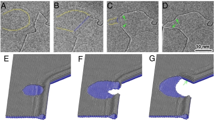 Fig. 4.