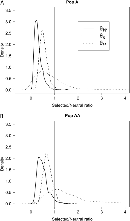 Figure 3.—