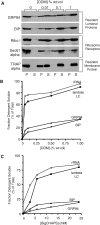 FIGURE 6: