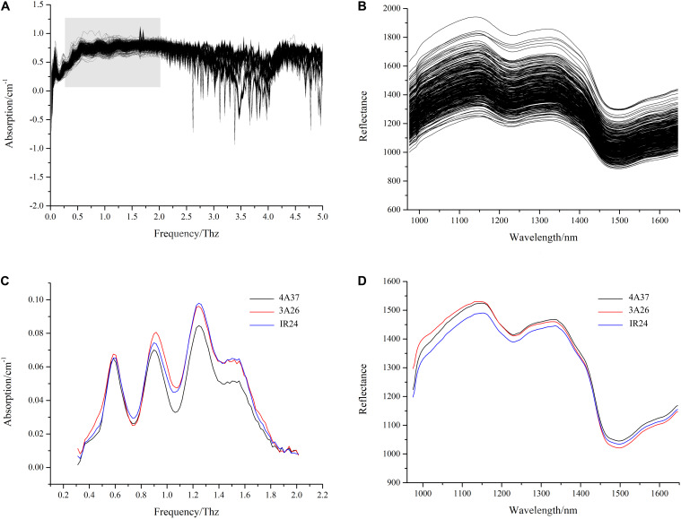 FIGURE 3