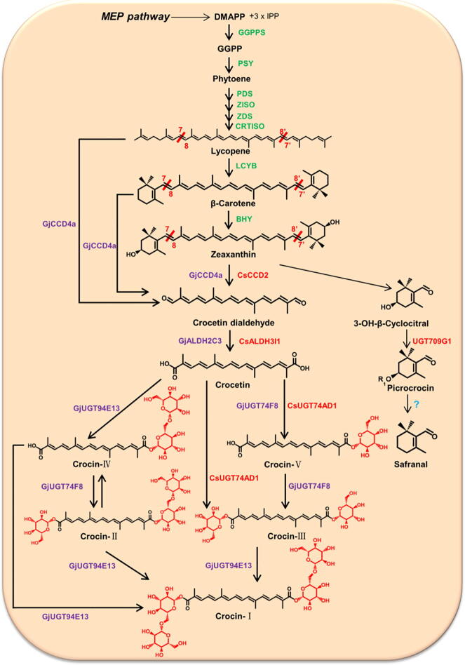 Fig. 1