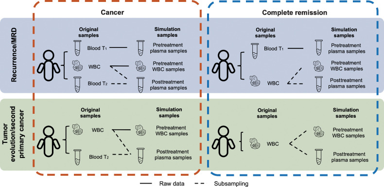 Figure 2. Settings to generate in silico spike-in simulation data. The simulation data are generated using WES data taken from (i) 12 patients with MBC and 6 patients with CRPC and (ii) 8 patients with NSCLC. Each patient has an early plasma sample (Blood T1), a WBC sample (WBC), and a late plasma sample (Blood T2). The three WES datasets from a patient are used directly or mixed to generate the simulation samples. To simulate the scenario of monitoring a patient for MRD or cancer recurrence, each case contains three simulation samples: a pretreatment plasma sample, a pretreatment WBC sample, and a posttreatment plasma sample. The raw data from Blood T1 are used directly as the pretreatment plasma sample for all cases. WBC and Blood T2 are mixed at specified dilutions to simulate the posttreatment plasma sample. To simulate remission cases, we generate two independent random samplings from the raw WBC data to use as the pretreatment WBC sample and the posttreatment plasma sample. To simulate the emergence of second primary cancers, each case contains two simulation samples: a pretreatment WBC sample and a posttreatment plasma sample. The generation of simulation samples for second primary cancer monitoring is the same as for MRD/recurrence monitoring, except that the pretreatment plasma sample (Blood T1) is not used.