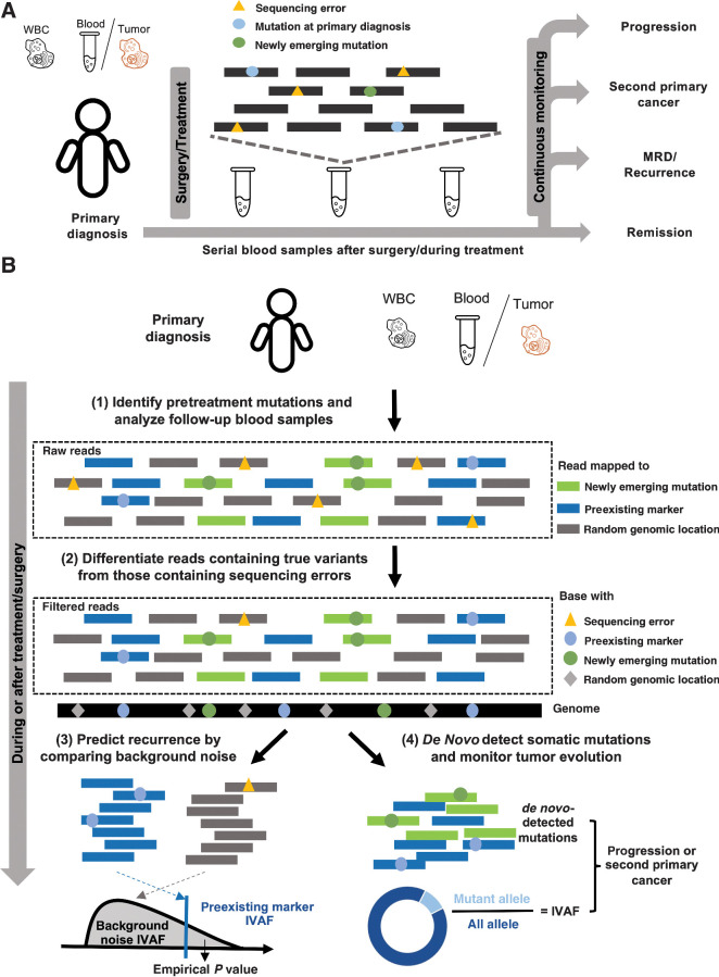 Figure 1. Cancer monitoring in plasma samples by tracking preexisting tumor mutations and newly emerging tumor mutations. A, Illustration of the sample collection for cfDNA-based cancer monitoring. Prior to surgery or therapy, a plasma or tumor sample and a WBC sample are collected to generate the preexisting tumor profile. Serial blood samples are collected to detect MRD/recurrence and monitor tumor evolution after treatment. B, Illustration of the method workflow. In the pretreatment samples, clonal tumor mutations are identified for tumor tracking in the posttreatment samples. Given a posttreatment plasma sample, the tumor fraction is calculated from the preexisting clonal tumor mutations and compared with a sample-specific background distribution. The empirical P value of the tumor fraction is used to predict MRD/recurrence. Furthermore, de novo somatic mutations are detected using cfSNV between the posttreatment plasma and WBC samples. A second primary cancer is predicted by a logistic regression model that accounts for both the amount of de novo mutations and the corresponding tumor fraction.