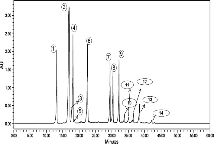 Fig. 1