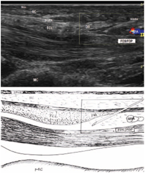 Figure 5.