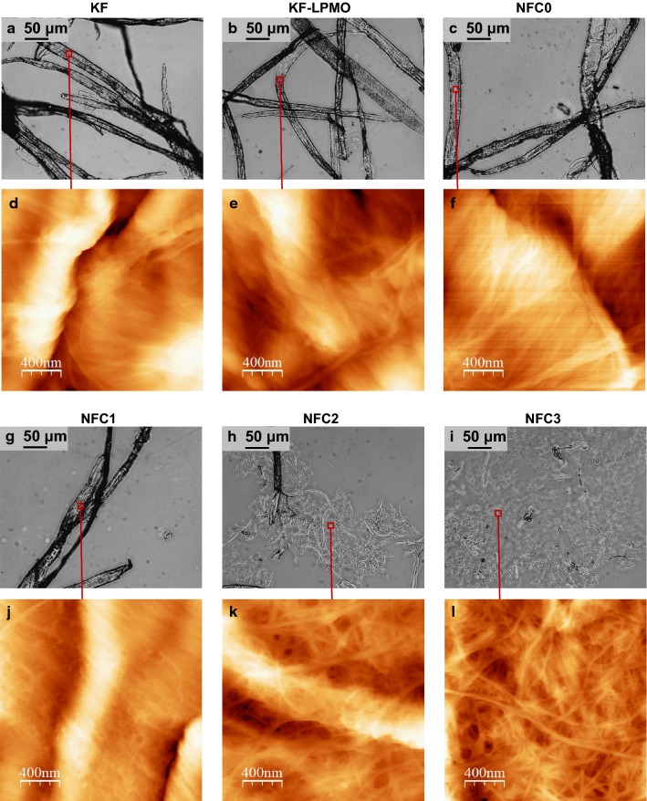 Fig. 2