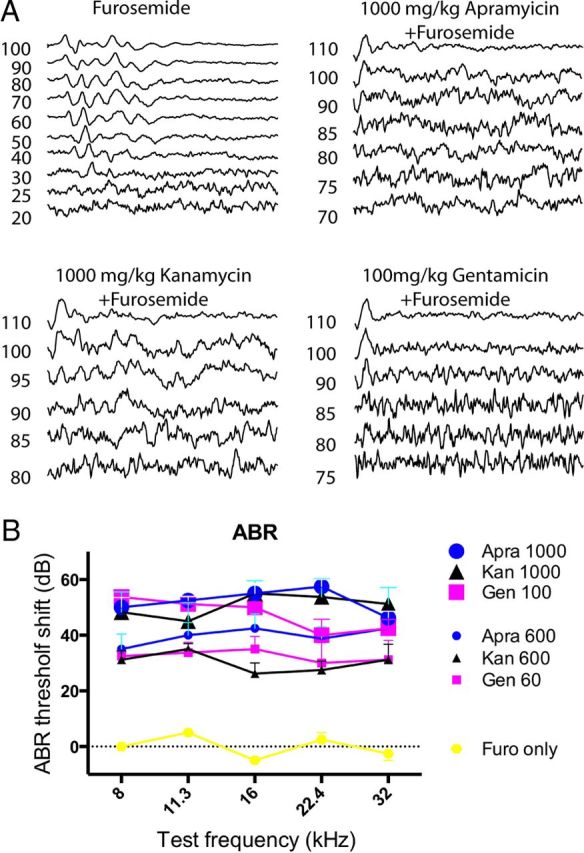 Figure 13.