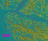 Fig. 2b.