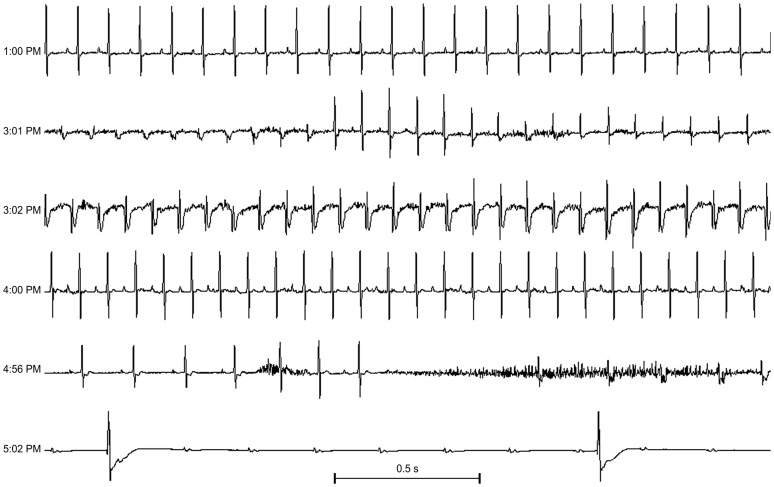 Figure 5