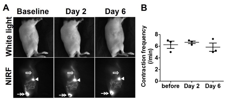 Fig. 9