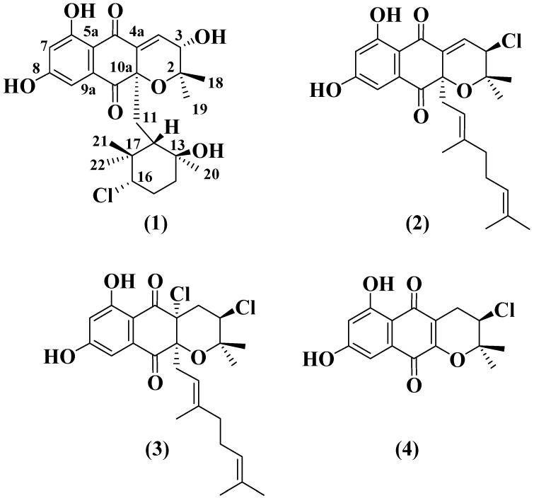 Figure 2