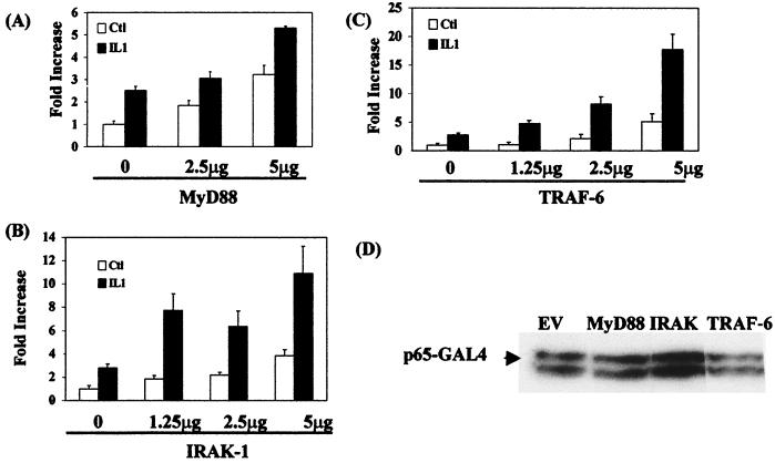 FIG. 1