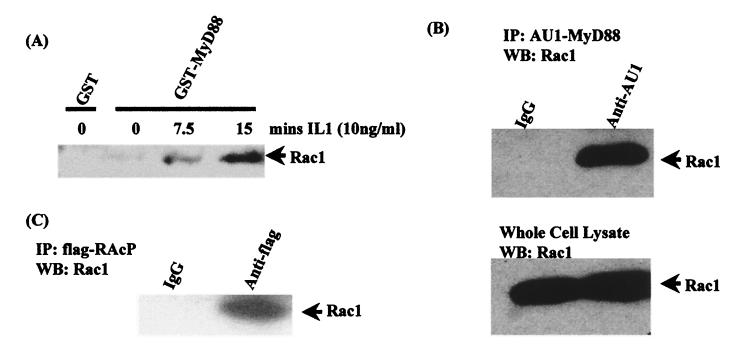 FIG. 6