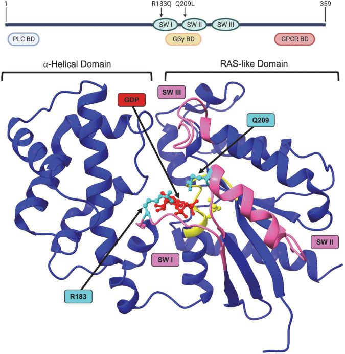 FIGURE 3