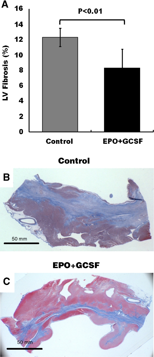 Fig. 5