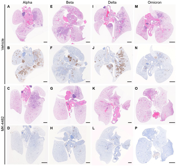 Fig. 2: