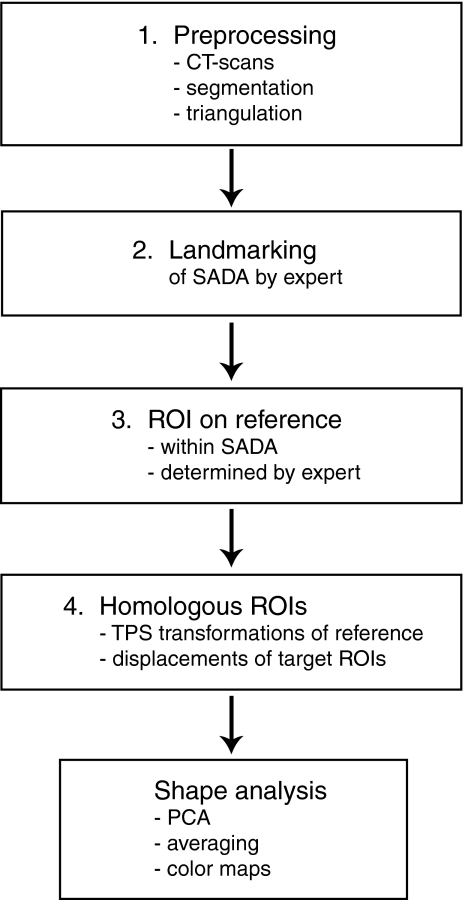 Fig 1.