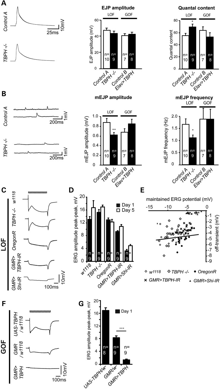 Figure 4.