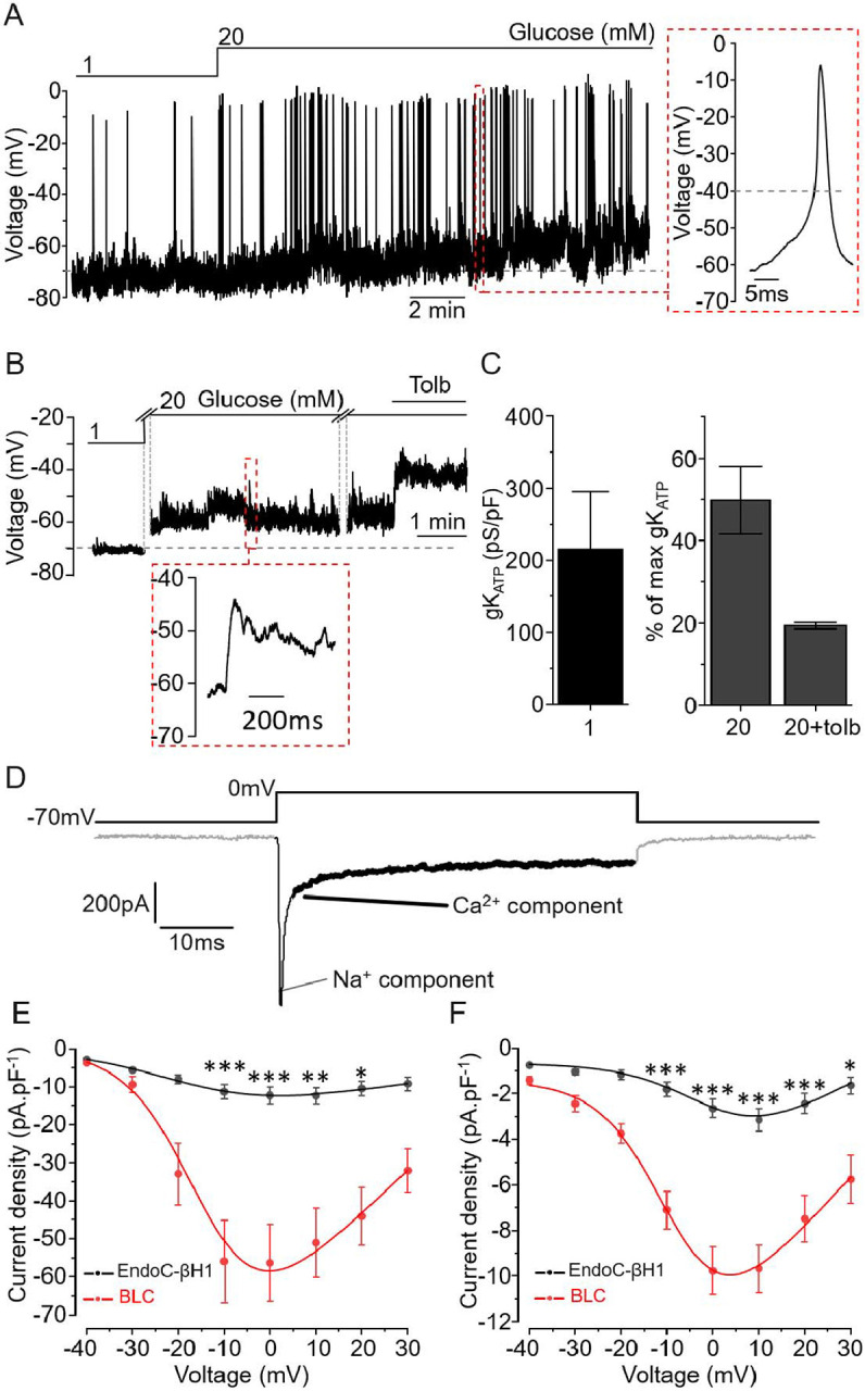 Figure 2: