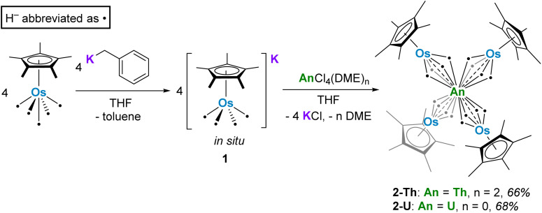 Scheme 2