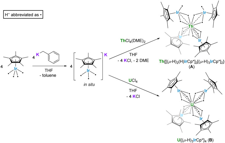 Scheme 1