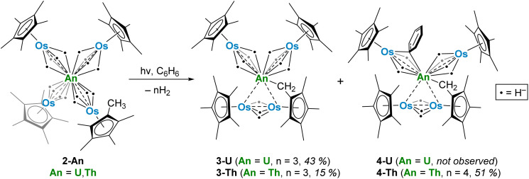 Scheme 3