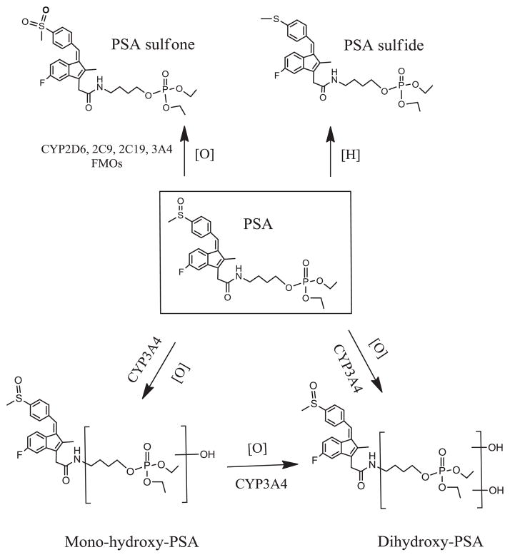 Fig. 9