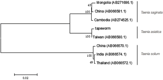 Fig. 3.