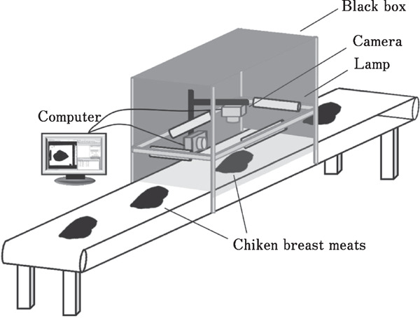 Fig. 1.