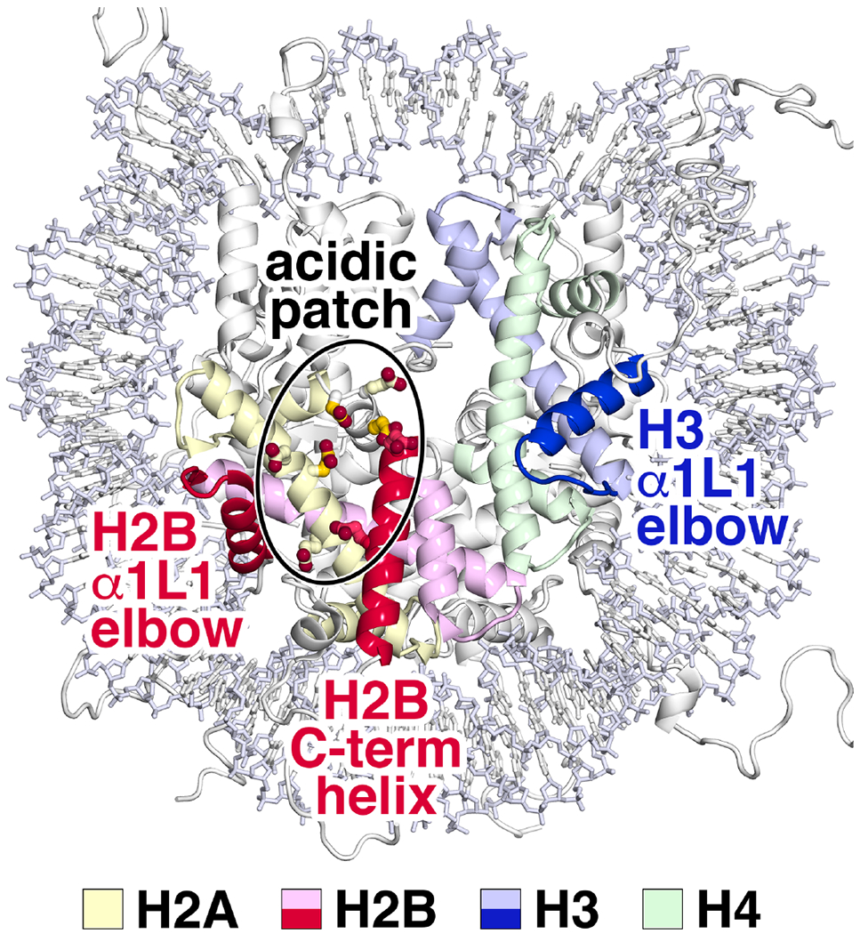 Fig. 1: