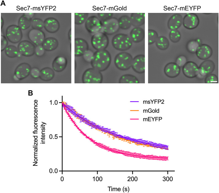 FIGURE 2: