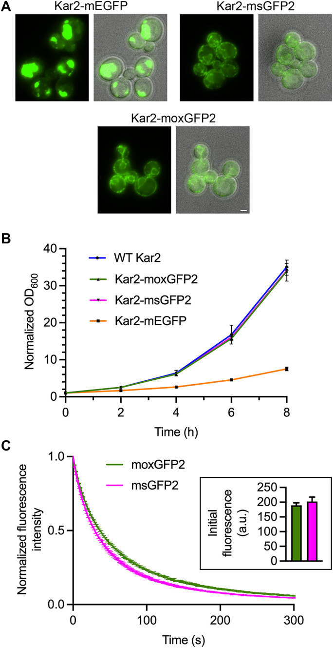 FIGURE 6: