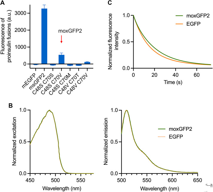 FIGURE 5: