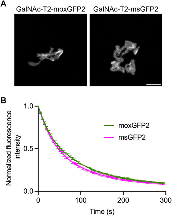 FIGURE 7: