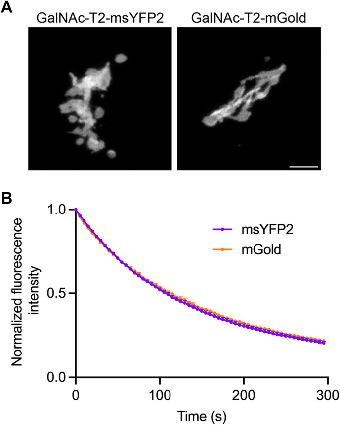 FIGURE 4: