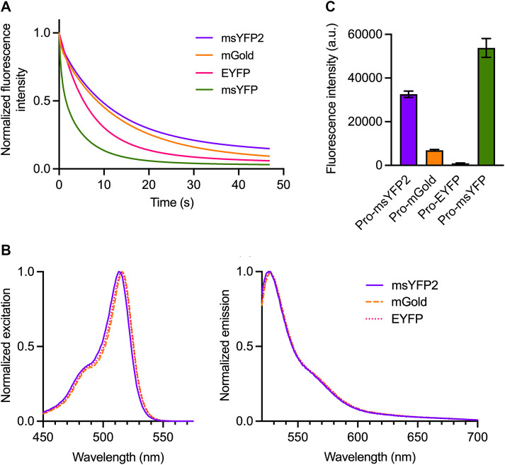 FIGURE 1: