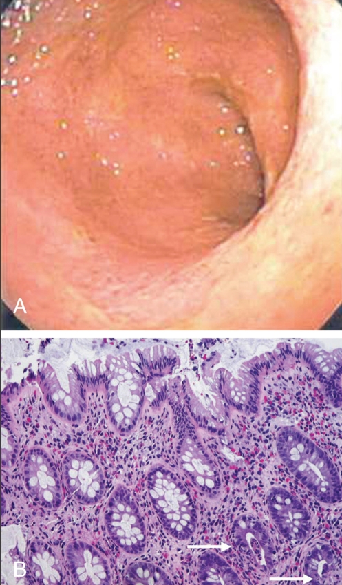 Figure 2)