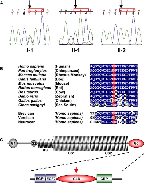 Figure 5