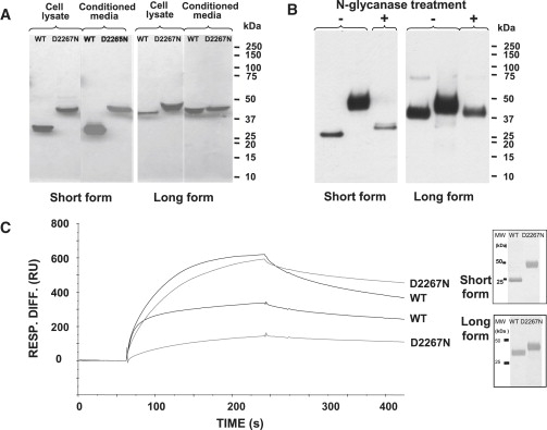 Figure 6