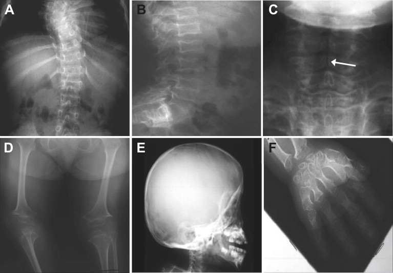 Figure 2